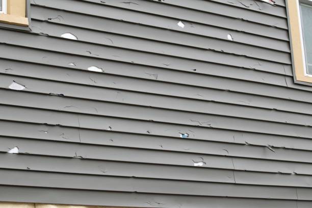 Best Custom Siding Design  in Grosse Pointe Farms, MI